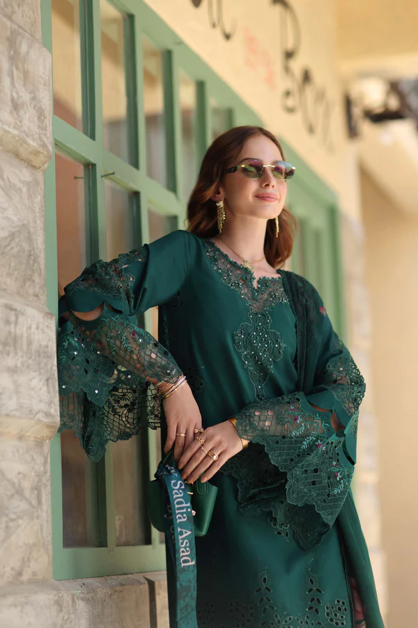 D6-B Noor Luxe Chickenkari by Saadia Asad 3
