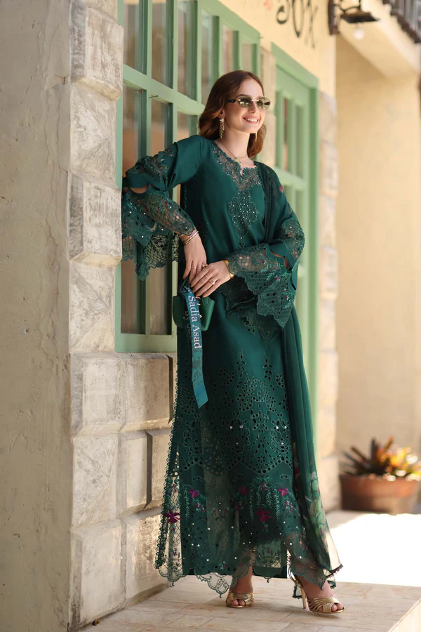 D6-B Noor Luxe Chickenkari by Saadia Asad 4