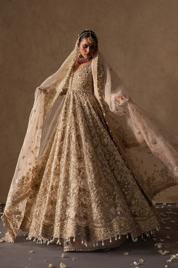 Afrozeh Brides Collection 2026 || Catarine 2