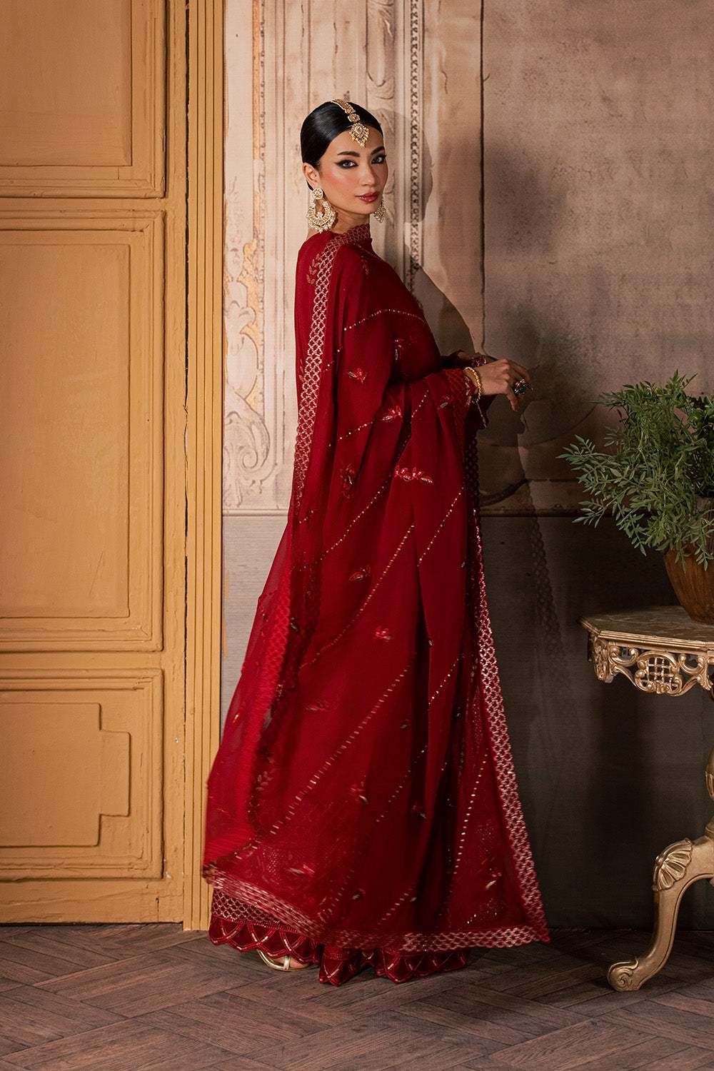 AURELIA - MSU6941 4